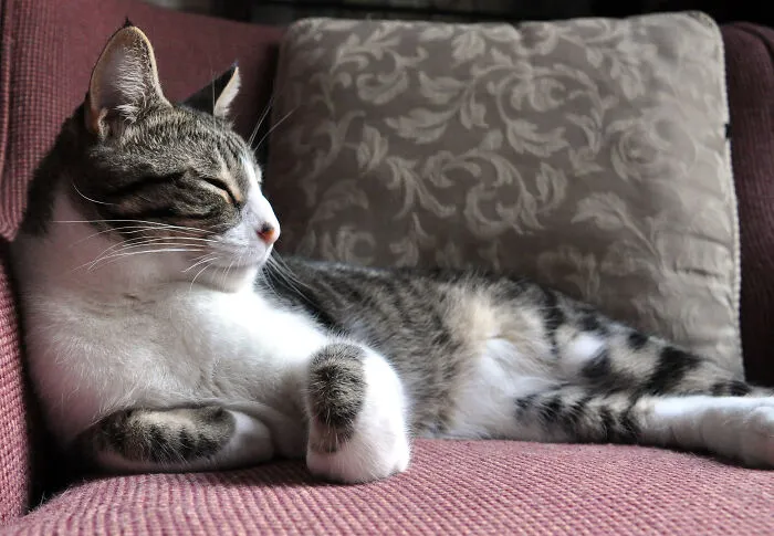 Chillin'