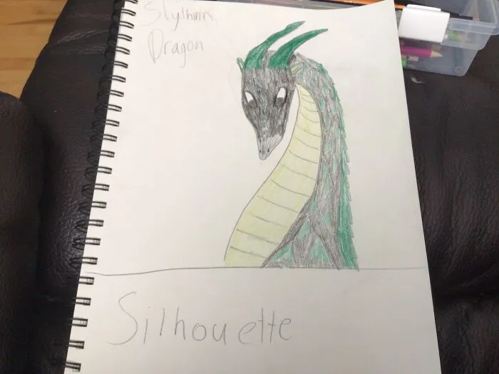 This Is Drawing I Did, I Know It Doesn’t Compare To The Amazing Art On This Put I Just Wanted To Share Som Of My Art (Harry Potter Houses As Wings Of Fire Dragons)