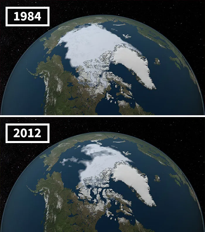Arctic Sea-Ice Coverage Hits Record Low