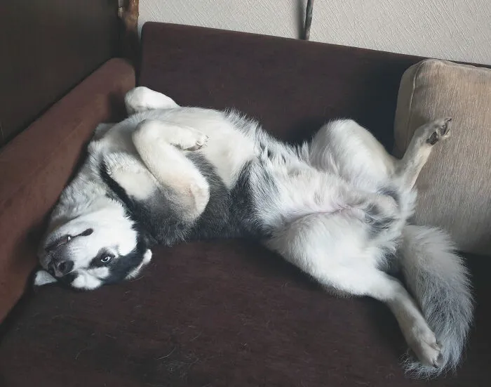 He Might Be Broken