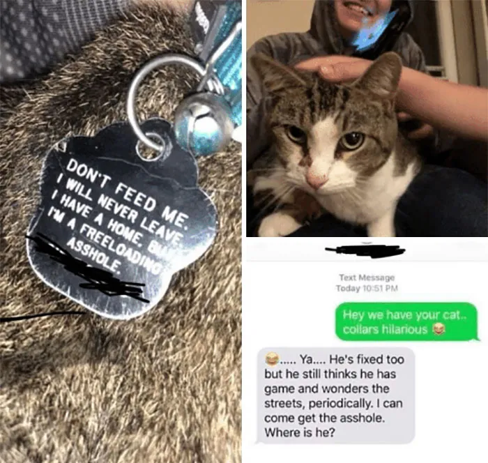 34 Times Cats Acted So Audacious That Their Owners Put Up A Sign To Warn Others About Their Ways