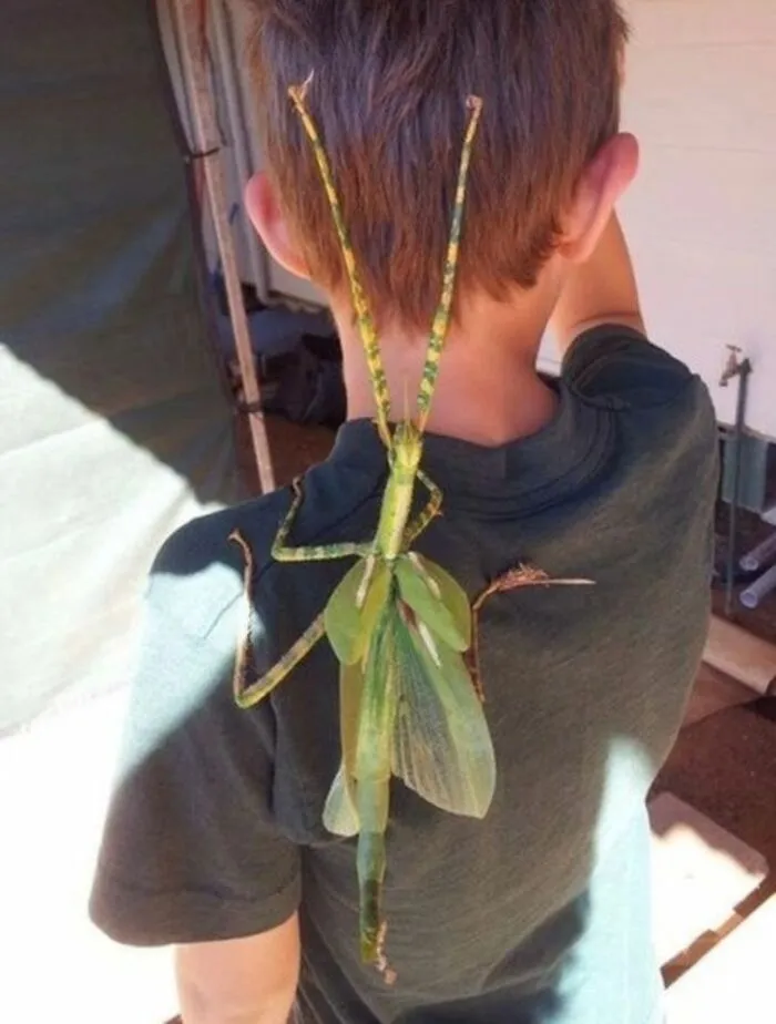 Hay un niño en nuestro bicho