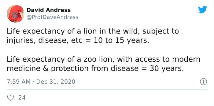 'Covidiot' Politician Tries To Prove A Point By Saying That 'Lions Don't Wear Masks,' Gets Shut Down With Hilarious Comments