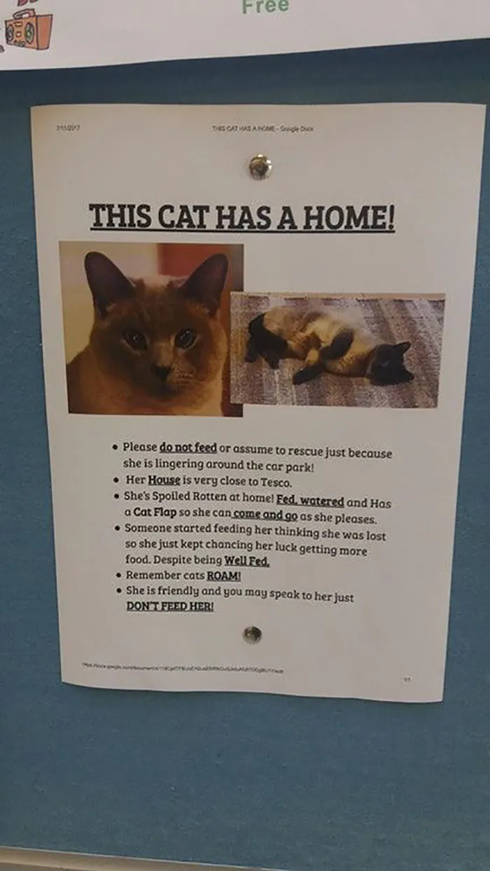 34 Times Cats Acted So Audacious That Their Owners Put Up A Sign To Warn Others About Their Ways