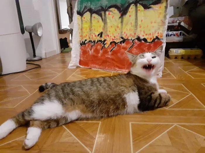 Rrrrrrr