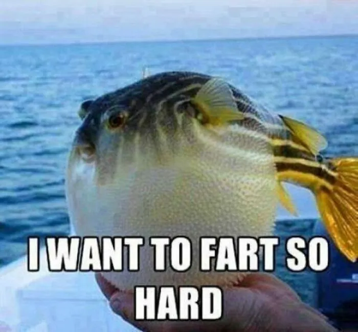Every Single One Of My Brothers Who Are Doofs