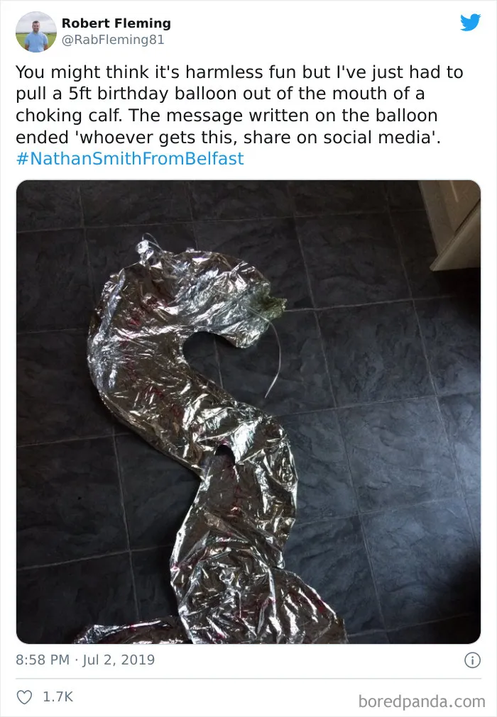 Another Human Forgetting That We Share This Planet