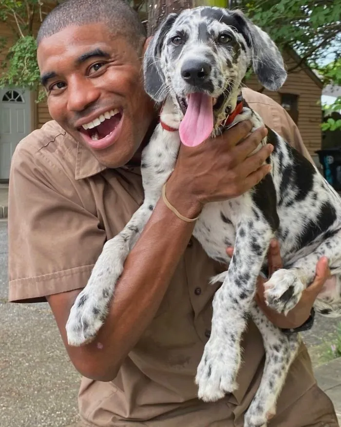 UPS Driver Posts The Adorable Dogs He Meets On Routes And The Internet Is Here For It (30 New Pics)