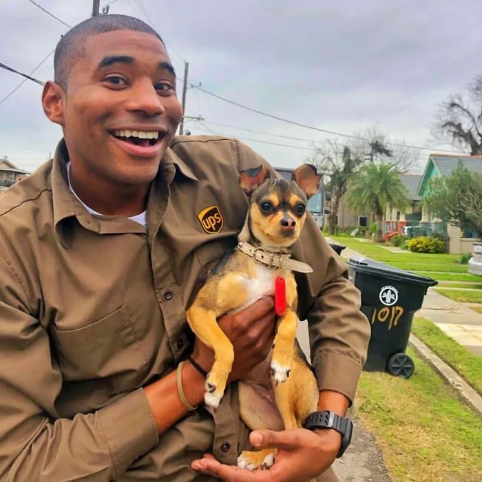 UPS Driver Posts The Adorable Dogs He Meets On Routes And The Internet Is Here For It (30 New Pics)