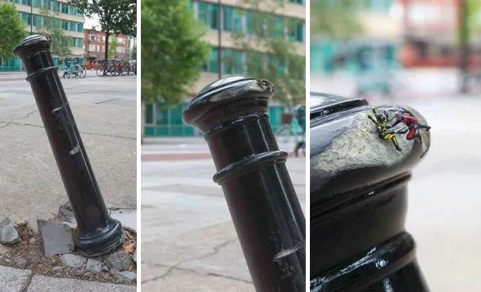 Ant-man en la vida real