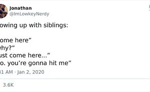 50 Hilarious Tweets That Sum Up What It’s Like Having A Sibling