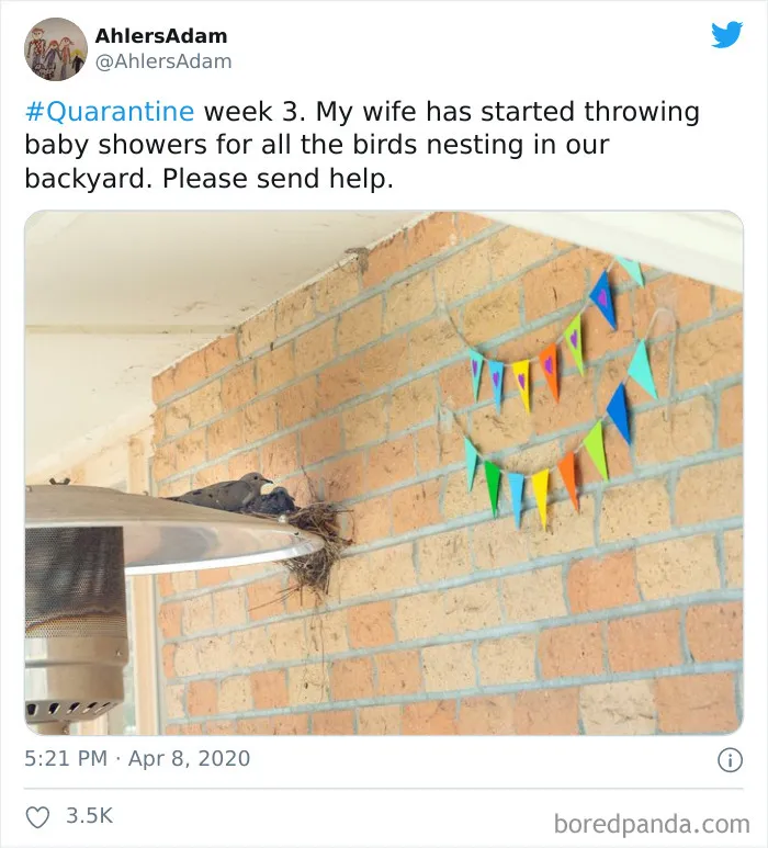 50 Of The Funniest Marriage Tweets From The Very Unusual Year Of 2020