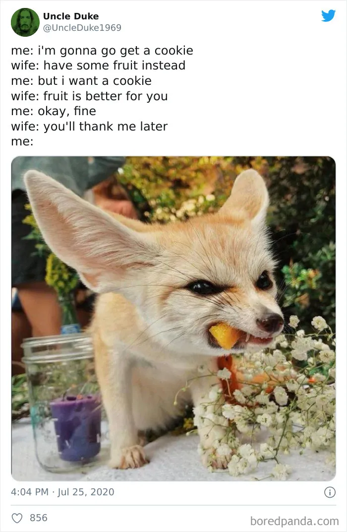 50 Of The Funniest Marriage Tweets From The Very Unusual Year Of 2020