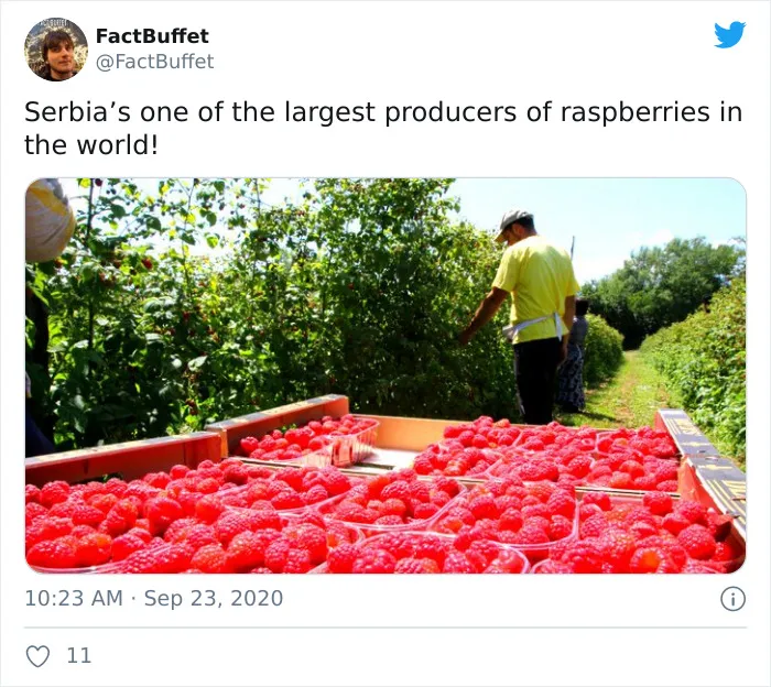 Here Are Some Of My Facts That I Tweeted About Countries All Over The World (50 Pics)