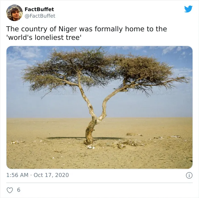 Here Are Some Of My Facts That I Tweeted About Countries All Over The World (50 Pics)