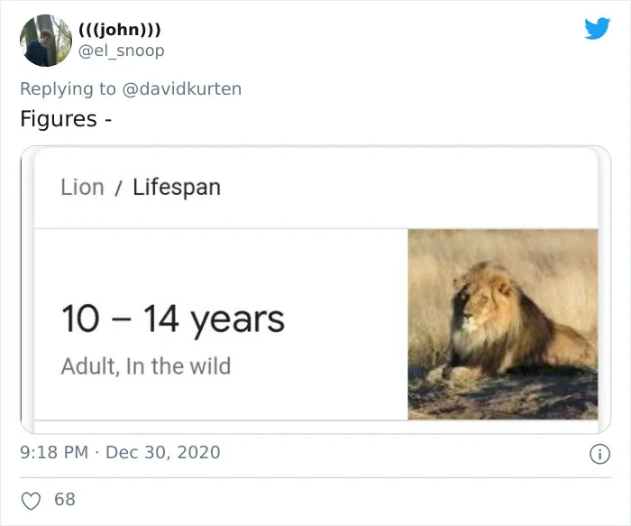 'Covidiot' Politician Tries To Prove A Point By Saying That 'Lions Don't Wear Masks,' Gets Shut Down With Hilarious Comments
