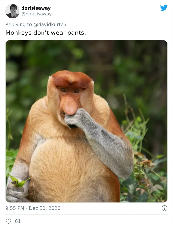 'Covidiot' Politician Tries To Prove A Point By Saying That 'Lions Don't Wear Masks,' Gets Shut Down With Hilarious Comments