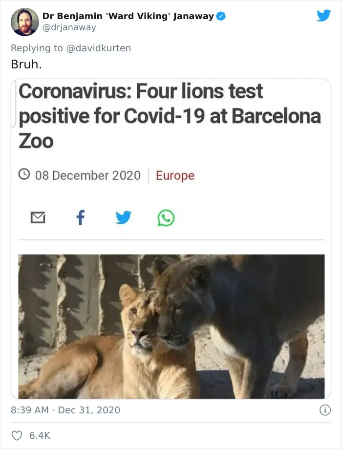 'Covidiot' Politician Tries To Prove A Point By Saying That 'Lions Don't Wear Masks,' Gets Shut Down With Hilarious Comments