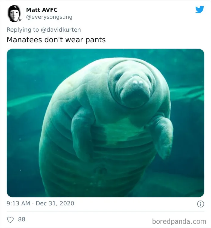 'Covidiot' Politician Tries To Prove A Point By Saying That 'Lions Don't Wear Masks,' Gets Shut Down With Hilarious Comments