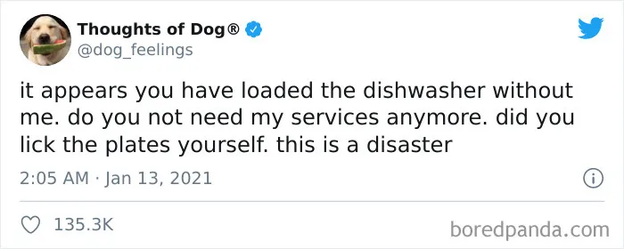 40 Of The Most Hilarious And Wholesome Dog Thoughts, As Shared By This Twitter Account (New Pics)