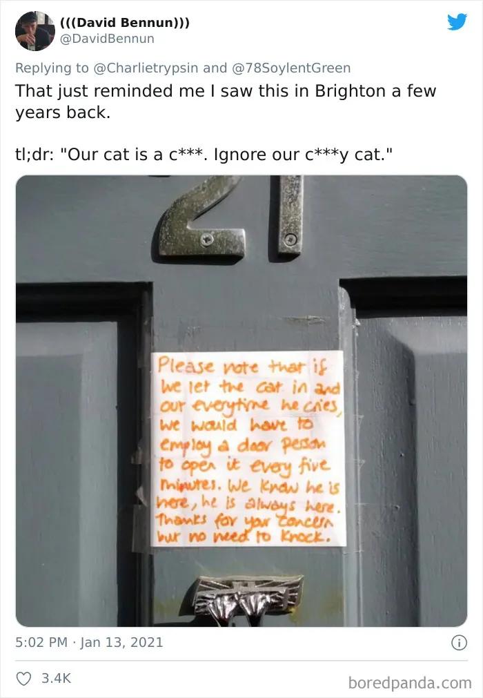 34 Times Cats Acted So Audacious That Their Owners Put Up A Sign To Warn Others About Their Ways