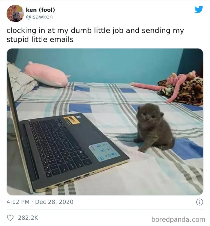 Running An Illegally Smol Business