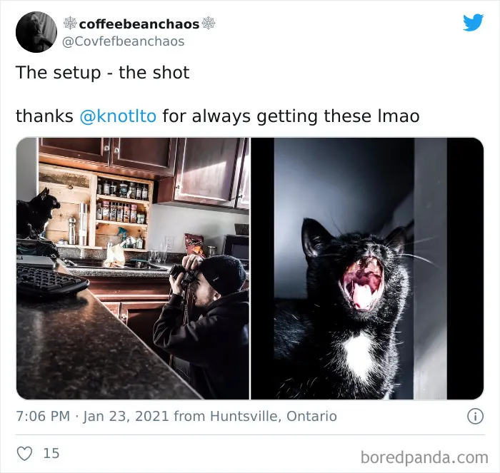 30 People Reveal How Their Photo Setup Looked Vs. The Result It Produced (New Pics)