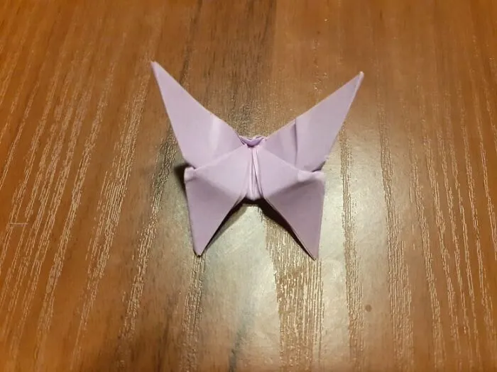 A Butterfly