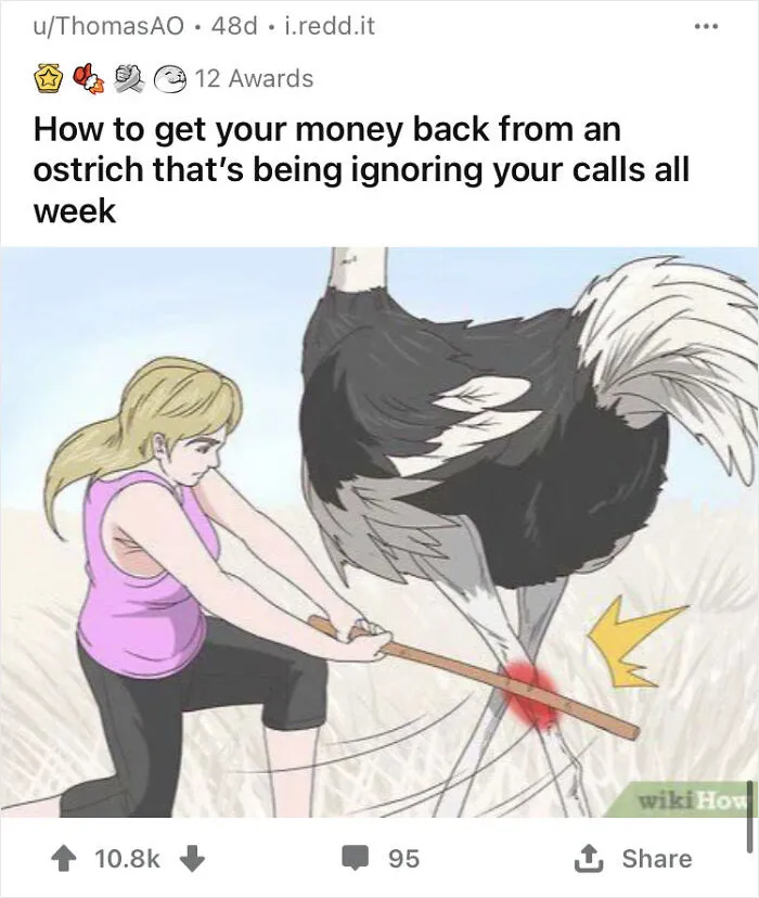 Alternate-Fake-Captions-Out-Of-Context-Wikihow-Pics