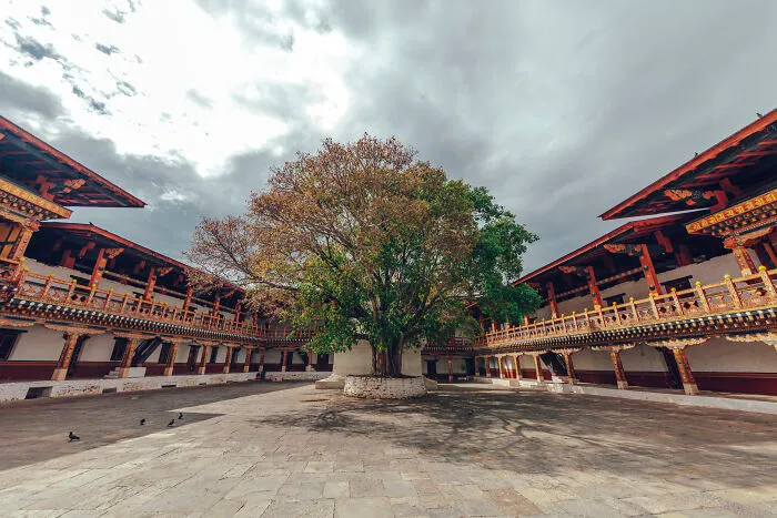 Courtyard Of Punaka-Dzong