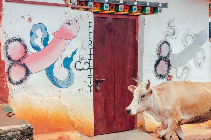 In The Village Of Lobesa, Which Is Home To Chimi Lhakhang, Known As The "Temple Of Childbirth," There Are Huge Paintings Of Male Genitalia Everywhere. It Is Called "Po" In Bhutan, And Has Taken Root In The Land As A Charm Against Evil. It Is A Very Mysterious Village.