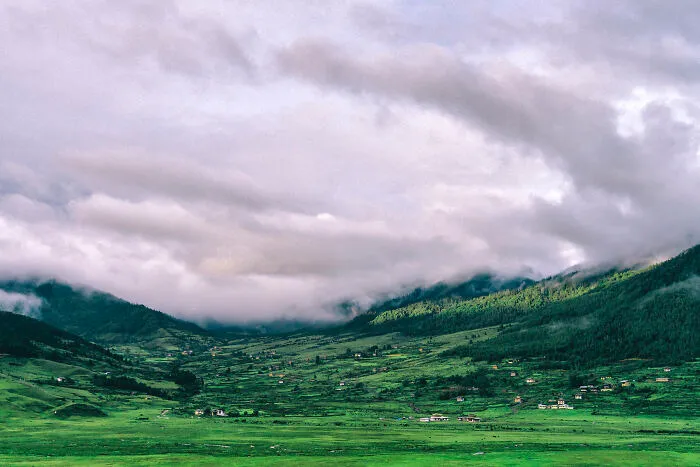 The Pobjica Valley In Wangdue Phodrang Province Is A Beautiful Valley Located Over 2,900 Meters Above Sea Level. It Is One Of The Largest Natural Wetlands In The Country.
