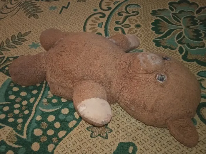 His Name Is "Mimim" And He's 32 Years Old