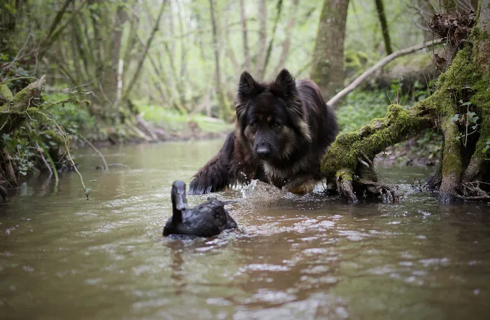 "Our" River