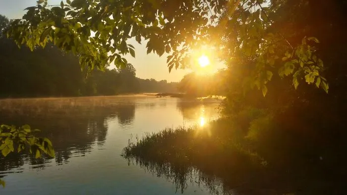 Hanging Out Next To The River With Friends