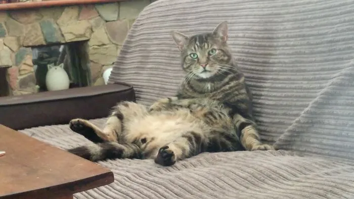 He Is Not Amused