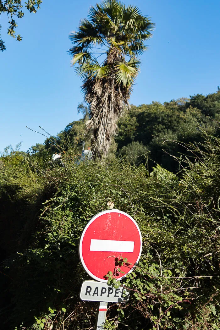 Reminder For The Distracted