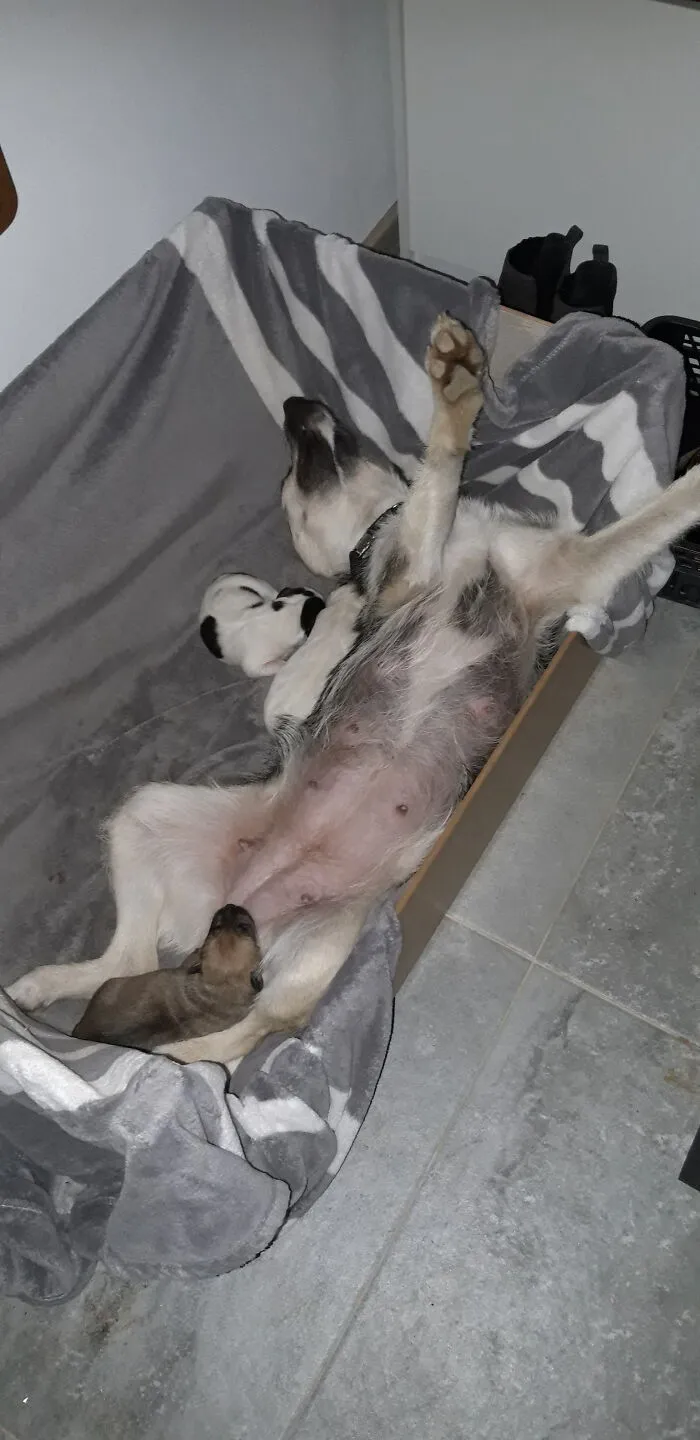 Motherhood Is Hard Work