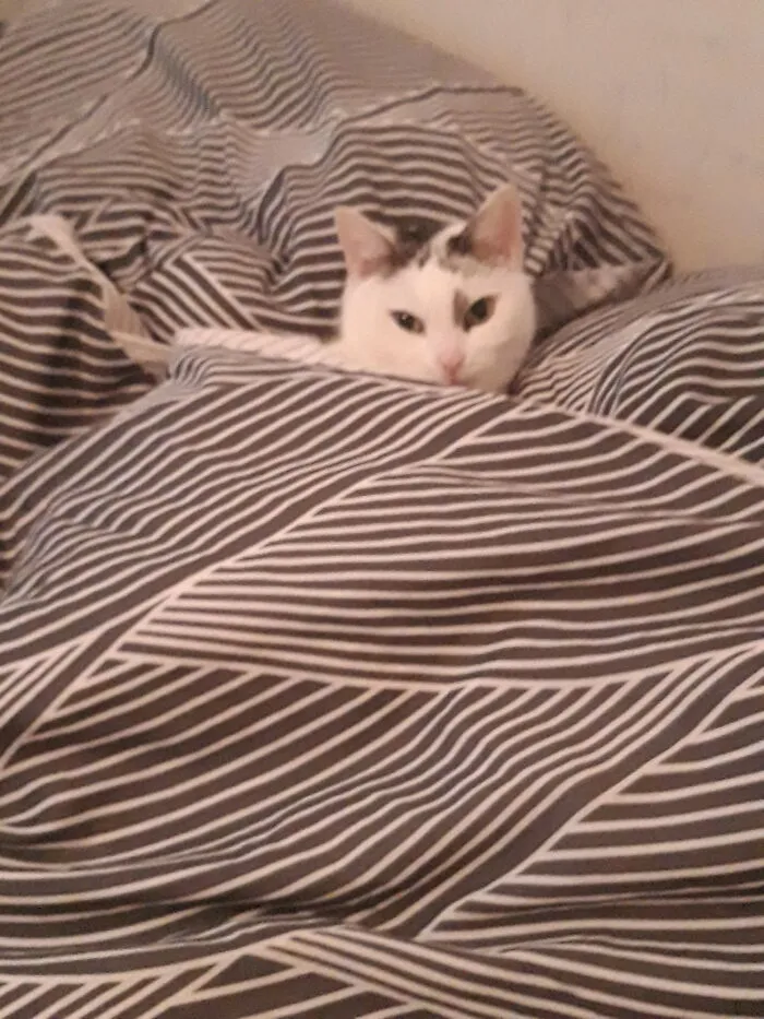 Waiting For Me Until I Go To Bed