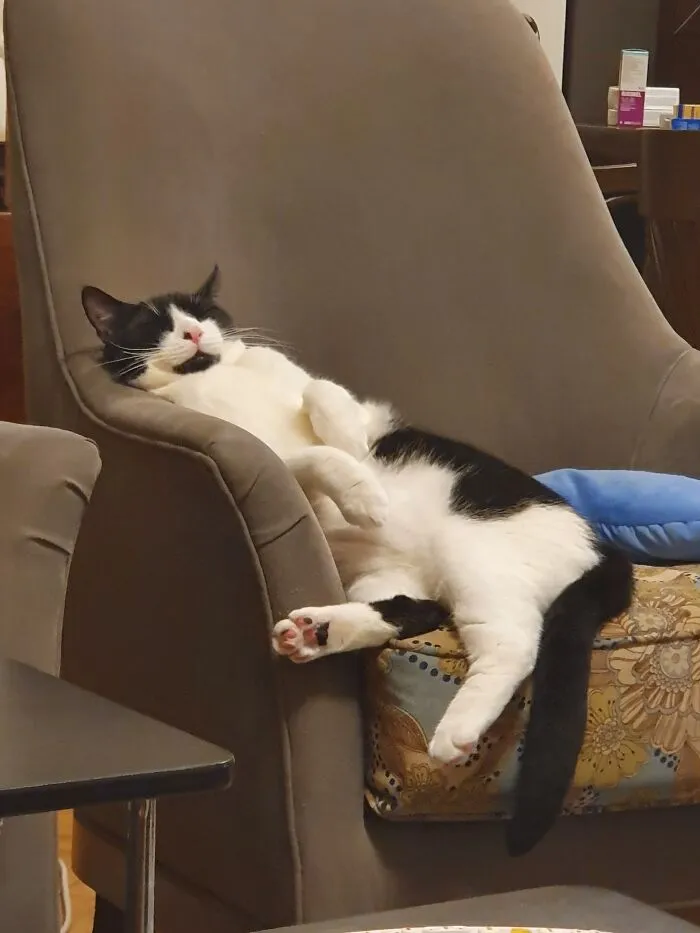 Just A Quick Nap