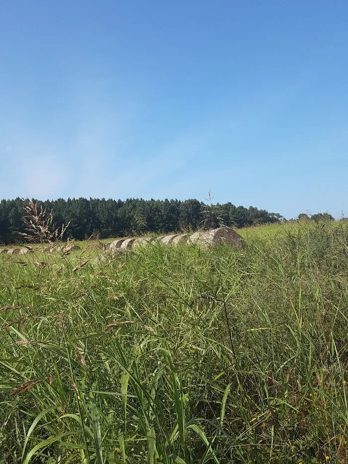 Our Fields In The Country