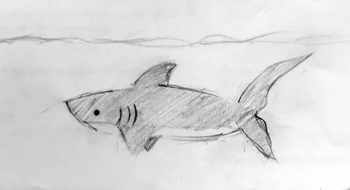 🦈🦈🦈🦈🦈🦈🦈🦈🦈🦈