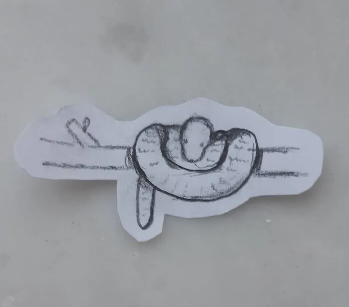 Snek 🐍