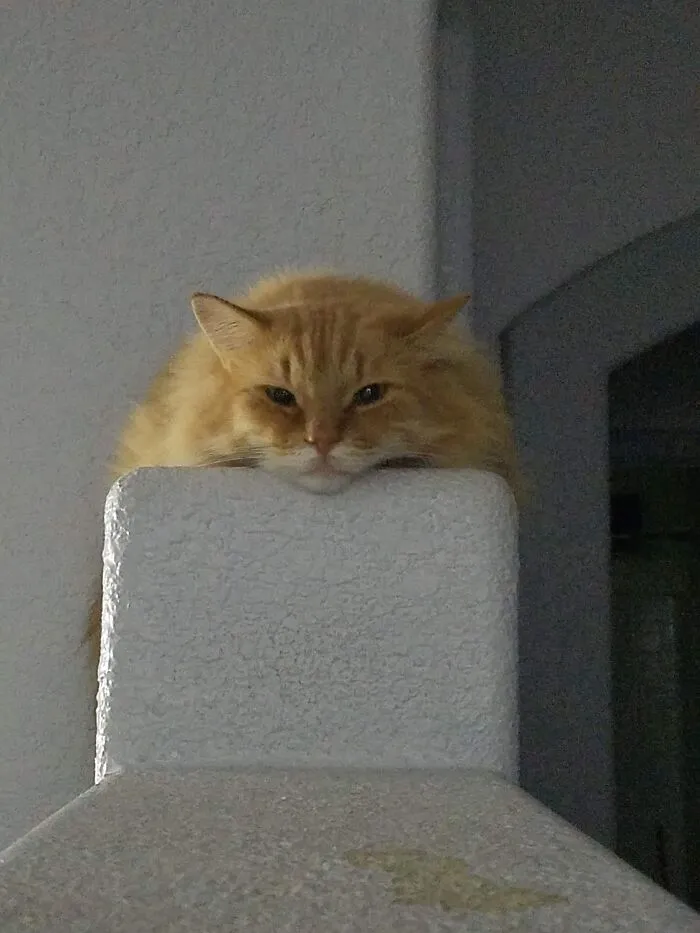 Lieto Making Sure The Wall Does Not Float Away