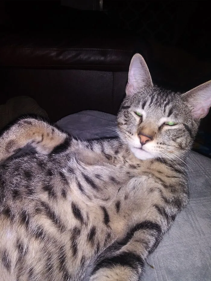 Why You Always Taking Pictures Of Me Lady?