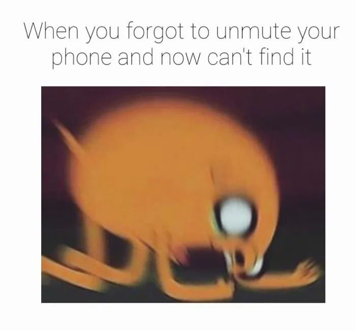 Meme