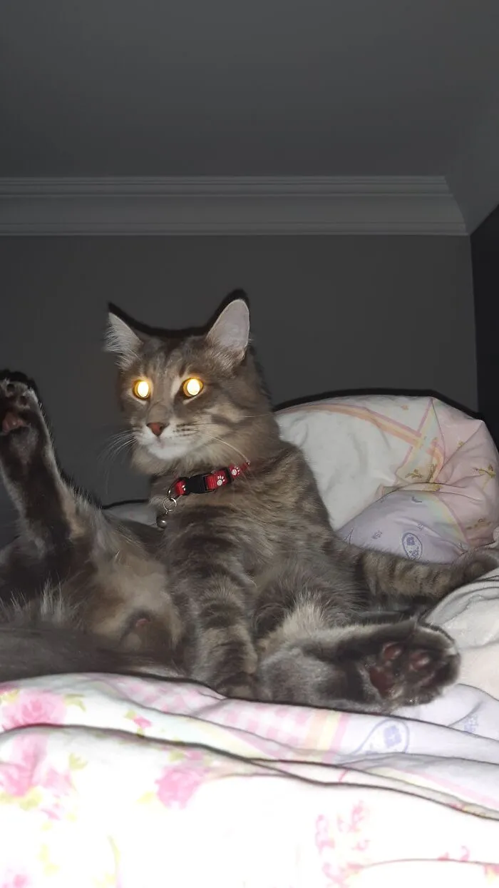 Gotcha!