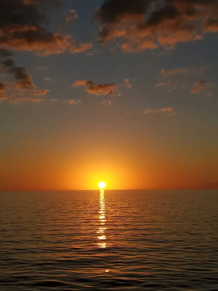 Naples Pier