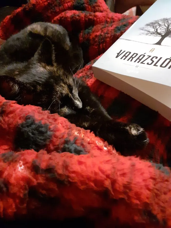 Reading Time