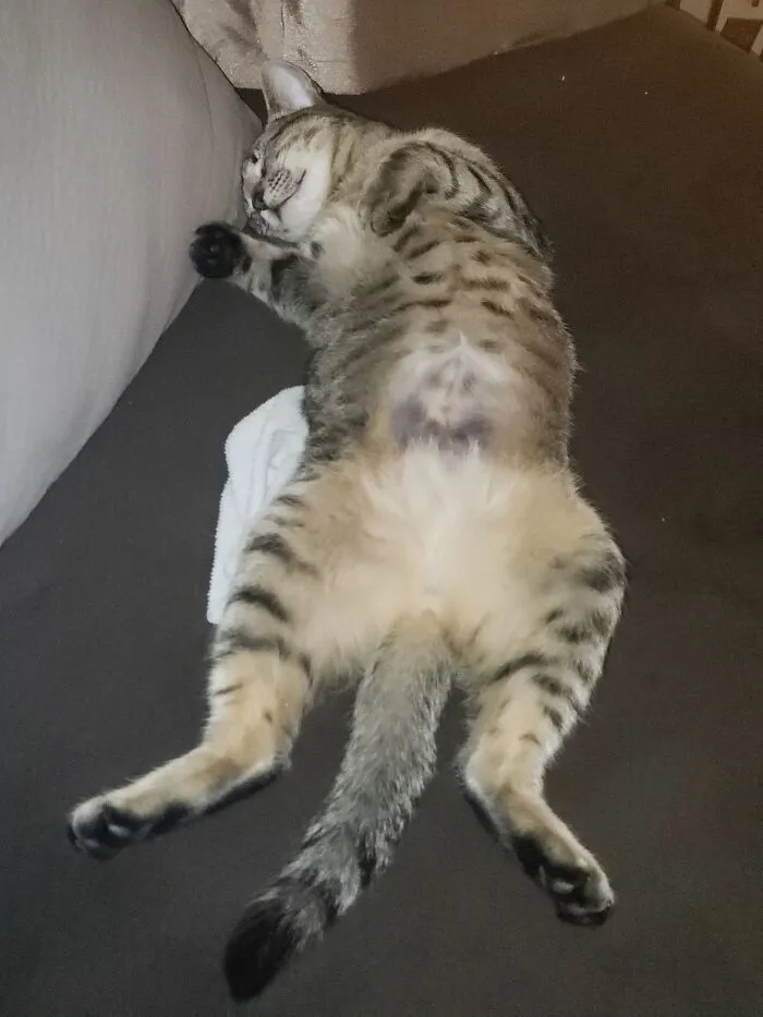 She's So Weird...